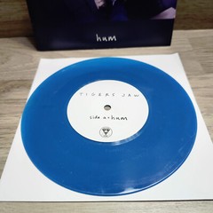 Tiger’s Jaw: Hum/Cool (Single, 2013) Run For Cover Records