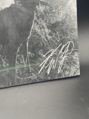 Koe Wetzel – GOLD Vinyl Autographed – The Night Champion