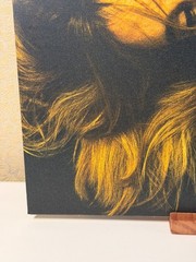 I Can’t Let Go (Metallic Gold) by Suki Waterhouse (Vinyl) – OPEN Min Slv Dmg
