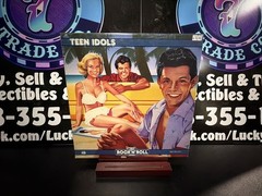 Various Artists – The Rock ‚N‘ Roll Era: Teen Idols 2xLP Vinyl Record Compilatio