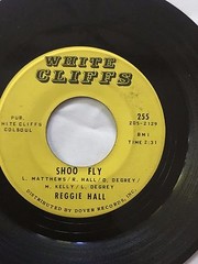 SOUL R&B 45/ REGGIE HALL „SHOO FLY“ / „PLEASE, PLEASE PHONE“ CLEAN HEAR