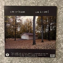 Tiger’s Jaw: Hum/Cool (Single, 2013) Run For Cover Records: VG++