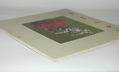 1982 Rush Signals Vinyl LP Record Album Mercury Records SRM-1-4063