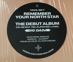 Yaya Bey – Remember Your North Star (LP) (Mint (M)) – 4214603022