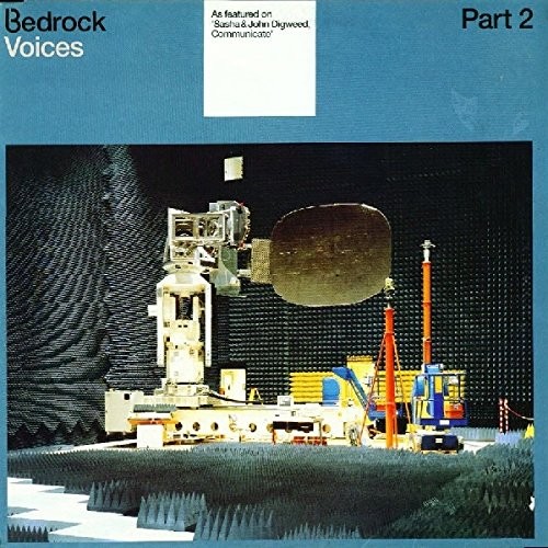 VOICES PART 2 [Vinyl]