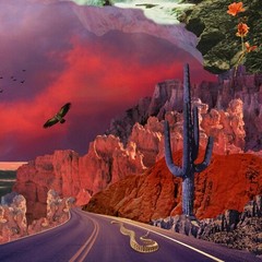 Turkuaz – Apollyon [New Vinyl LP] 180 Gram