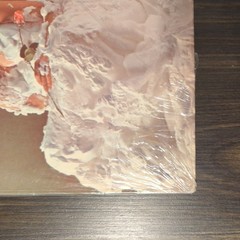 Herb Alpert’s Tijuana Brass Whipped Cream and Other Delights Vintage Vinyl LP