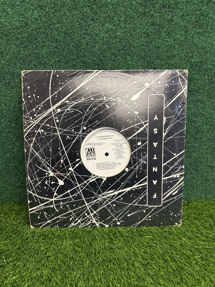 LE PAMPLEMOUSSE – Never Giving Up – Promo AVI Records AVI-6097