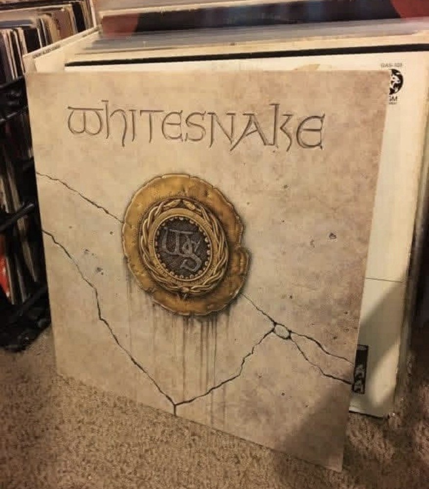 Whitesnake Whitesnake LP Vinyl Record – Geffen, Rock, Cardboard Sleeve
