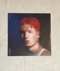 Orca by Dapperton, Gus (Record, 2020)