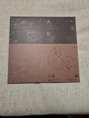 Raw Practices Modest By Default Vol. 1 LP Vinyl
