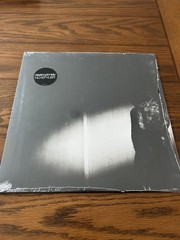Destroy Lonely No Stylist Vinyl Record LP Album New Sealed 2023