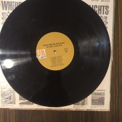 Herb Alpert’s Tijuana Brass Whipped Cream and Other Delights Vintage Vinyl LP