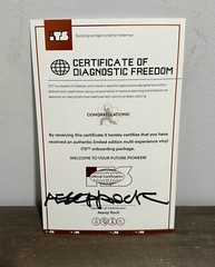 Aesop Rock Integrated Tech Solutions Orange Multi Experience Vinyl W Signed Cert