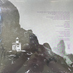 Pink Turns Blue – Meta (Coke Bottle Clear Vinyl) – POST-PUNK *NEW/COLOR*