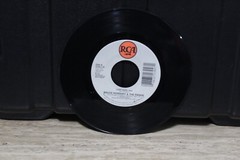 BRUCE HORNSY AND THE RANGE 45 RPM RECORD…FULL 38
