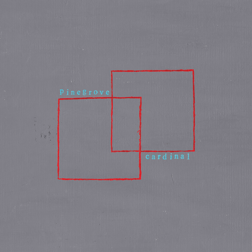 Pinegrove CARDINAL +MP3s RUN FOR COVER RECORDS New Black Vinyl LP