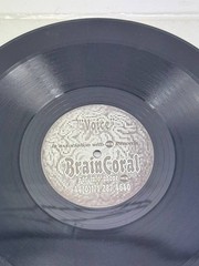 Electrospy – Voice Vinyl Record