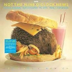 Not the Nine O’Clock – Hedgehog Sandwich [180-Gram ‚Hedgehog Splatter‘ Colored V
