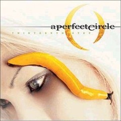 A Perfect Circle – Thirteenth Step [New Vinyl LP]