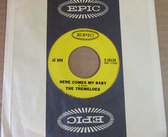 THE TREMELOES Here Comes My Baby/Gentleman Of Pleasure 1967 45 Record EPIC vinyl