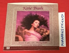 KATE BUSH Rare HOUNDS OF LOVE U.S. 7” 45 RPM PROMO Extended Version