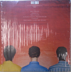 VINYL LP – Theme Park – Theme Park – 2013 – Transgressive Records