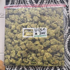 Dr. Dre 2001 Instrumentals (Anniversary Edition) 2LP ALT COVER ZIPLOC Green LMT