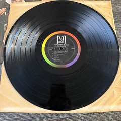 The Beatles Introducing the Beatles LP Vee-Jay VJLP 1062 Mono Early Press VG