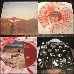 FIDDLEHEAD Springtime And Blind LP Splatter Vinyl-Basement Have Heart Angel Du$t