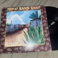 This Is Reggae Music ; 1976 LP VG Island Records Burning Spear