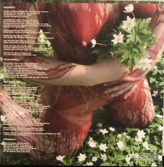 Lifelover – Pulver LP 2023 Osmose Productions – OPLP213 [Red Marble] [New] *FR