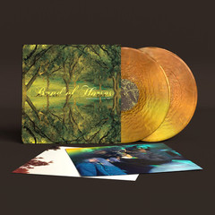 Band Of Horses : Everything All The Time (Limited 20th Anniv Gold Vinyl 2LP) NEW