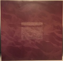 Madeon – Adventure (LP) (Very Good Plus (VG+)) – 4077843418