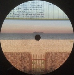 Brian Eno – The Ship (2xLP) (Near Mint (NM or M-)) – 4058306170