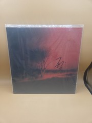 autographed cover Joji Piss in the Wind Vinyl Record 12″ filthy frank newbury