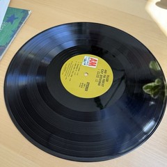 1970s Cat Stevens Teaser And The Firecat Gatefold LP US Pressing + Sleeve