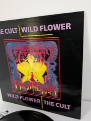 The Cult – Wild Flower 12″ Record UK Import NM Vinyl
