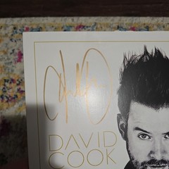 David Cook – SIGNED Digital Vein – Gold Vinyl Record LP Limited RARE OOP