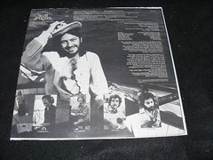 Psych Folk Rock Singer Songwriter Oddity SCOTT FAGAN LP Many Sunny Places RCA 75