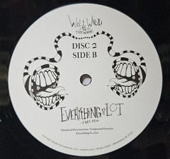 Will Wood And The Tapeworms – Everything is a Lot (2015 Mix VINYL) – ALT/INDIE *