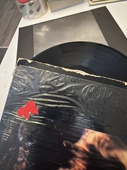 SIOUXSIE AND THE BANSHEES The Scream (LP, 1984, Geffen) GHS 24046 Debut Album VG