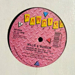 Willie & Waseem Promise Me 12″ Vinyl Single 33 RPM Pandisc 1990 PD-060A/B