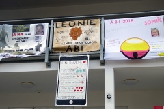 Abiplakate6