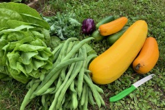 AGGarten5