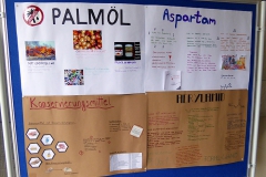 Prowo08
