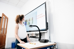 Smart098