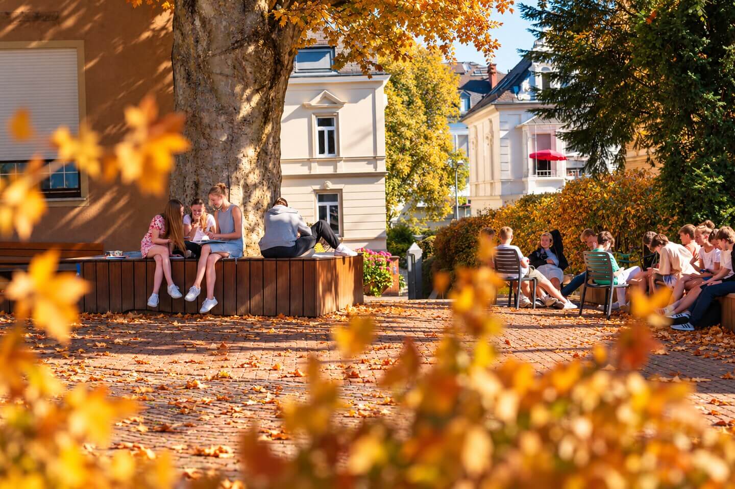 Schülerinnen und Schüler unter dem großen Baum auf unserem Schulhof.